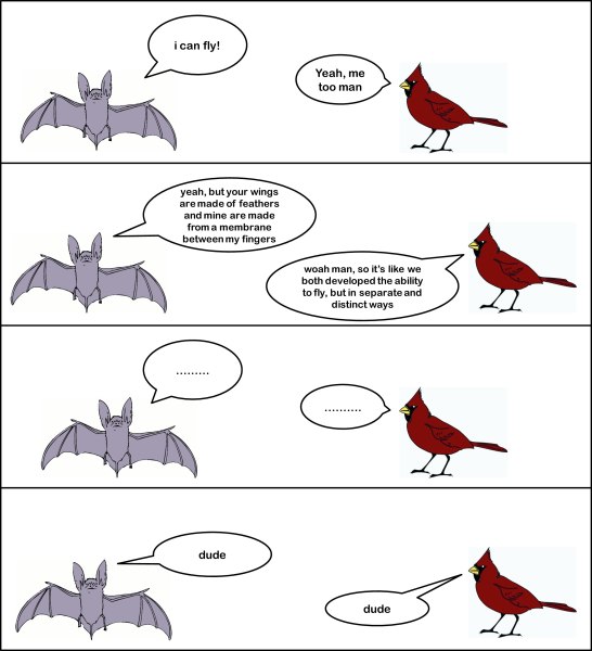 Evolution in Comics